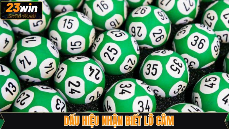 Nắm được dấu hiệu xuất hiện của lô câm 