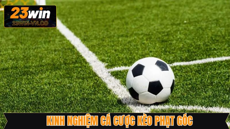 Bí quyết dự đoán cược corners cực kỳ đỉnh cao