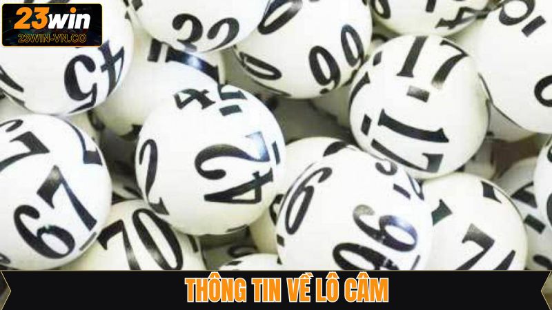 Nội dung tổng quan về hiện tượng câm số trong lô đề 