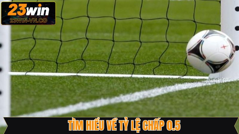 Khái quát chung về tỷ lệ cá cược chấp 0.5