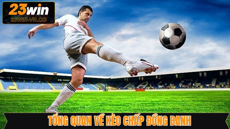 Một vài thông tin về hình thức cá độ hấp dẫn